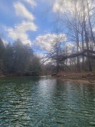 Riffels Camp and Float Adventures