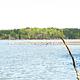Galt's Ferry Day Use Fishing Jetty