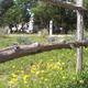 Campspot slideshow image 3