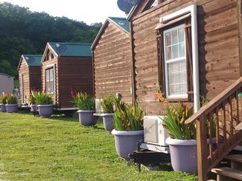 Clear photo of multiple rental cabins in a row on grassy site — directly illustrates the property's cabin accommodations (file is from the site's cabins section).