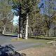 Campground image 1