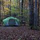 A green tent nestled under an autumn forest