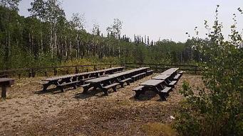 Bottle Creek Group Picnic Site