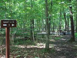 Marsden Tract Group Campsite