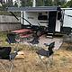 2024 Forest River RV Flagstaff E-Pro E19BH