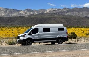 2019 Ford Ford Transit Custom