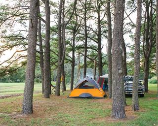 Tent camping scene among tall trees with a cleared grassy area — useful example of tent sites and wooded scenery on the campground, from the property’s ways-to-stay images.