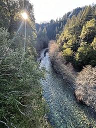 Dillon Creek from the Bridge