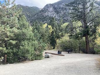 Campsite with picnic table, fire pit and mountains in background