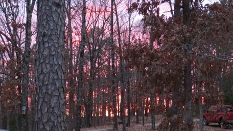 Eureka Yurts and Cabins