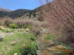 Bird Creek Campground