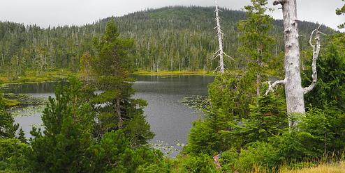 Middle Ridge Cabin, Loop: MIDDLE RIDGE CABIN