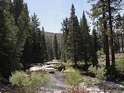 Robinson Creek South