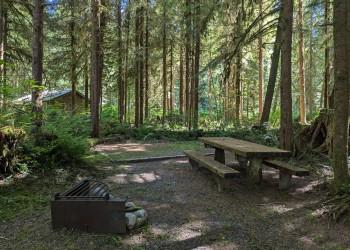 campsite in woods