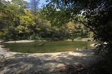 CAROLINA HEMLOCKS REC AREA 2