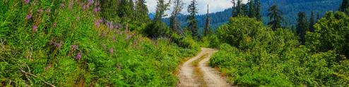 South Fork Group Site
