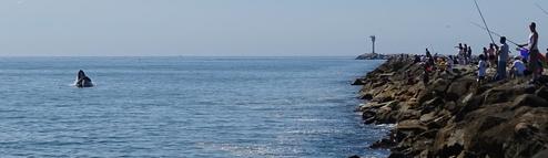 Pillar Point RV Park