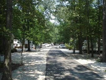 Tree‑lined paved lane with RVs and hookups visible — shows typical RV campsite area and shaded roads within the campground (site’s photo gallery context).