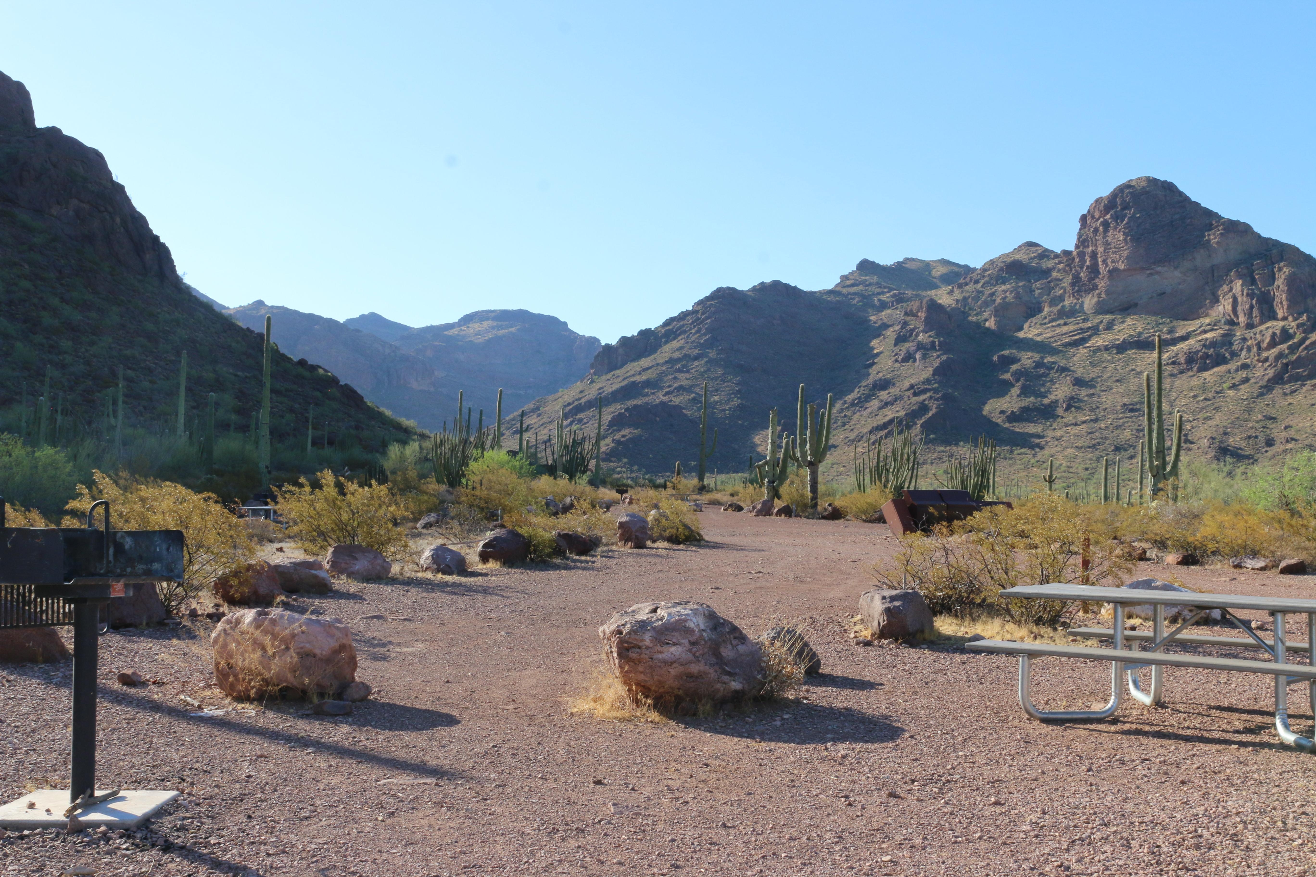 Alamo Canyon Primitive Campground
