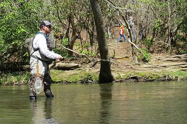 Fishing in Abrams Creek