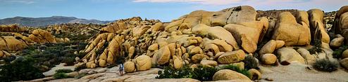 Jumbo Rocks Campground