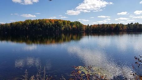 Ewing Point Campsite