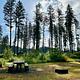 North Santiam campsites 