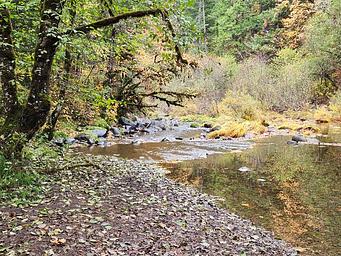 Little River at White Creek Campground