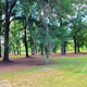 Campspot slideshow image 3