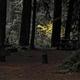 LIMBERLOST CAMPGROUND