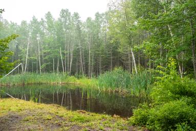 Campspot slideshow image 3
