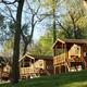 Clear, high-quality photo of multiple on-site cabins on a grassy slope — matches the Cabins page (accommodations) and shows layout and cabin style on the property.