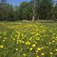 Campspot slideshow image 5