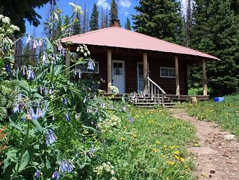 Little Brooklyn Lake Guard