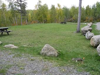 Picture of open grassy area.