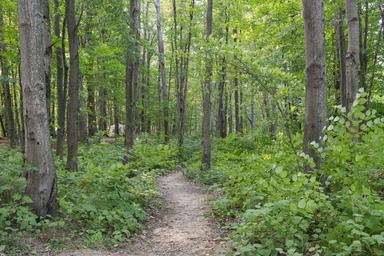 Campspot slideshow image 4