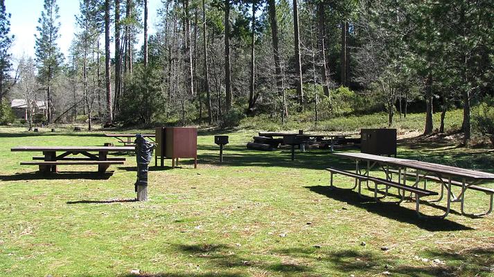 PGS, Loop: AREA PINES GROUP/STANISLAUS