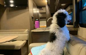 Room for the whole family in our Thor Motor Coach