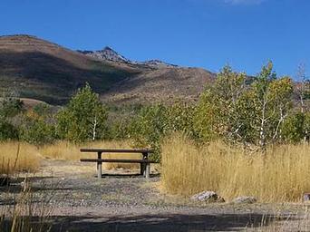 Angel Creek (Humboldt-toiyabe National Forest, NV)