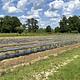 Fulmer's Farmstead