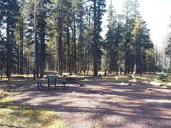 Apache Trout Campground campsite
