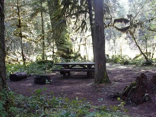 Limberlost Group Site, Loop: LIMBERLOST CAMPGROUND