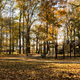 Campspot slideshow image 4