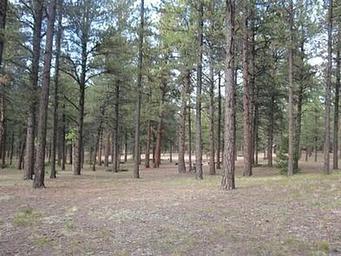 RED ROCKS GROUP CAMPGROUND