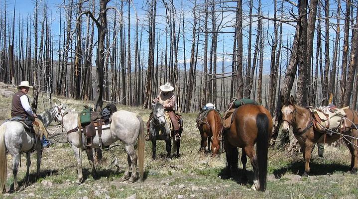 001, Loop: AREA DEER CREEK CABIN