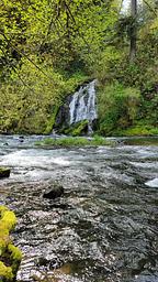 Alder Glen waterfall