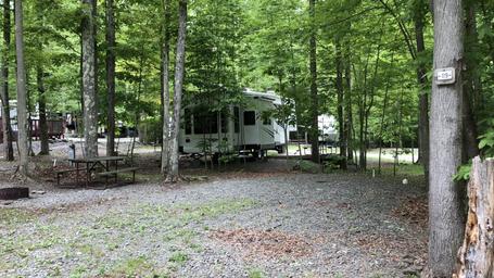 Yogi Bear's Jellystone Park PA Wilds
