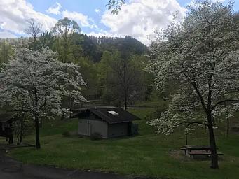 Spring