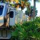 Montana RV parked among lush palm trees and greenery.