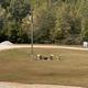 Big Fish at Wedowee RV Park